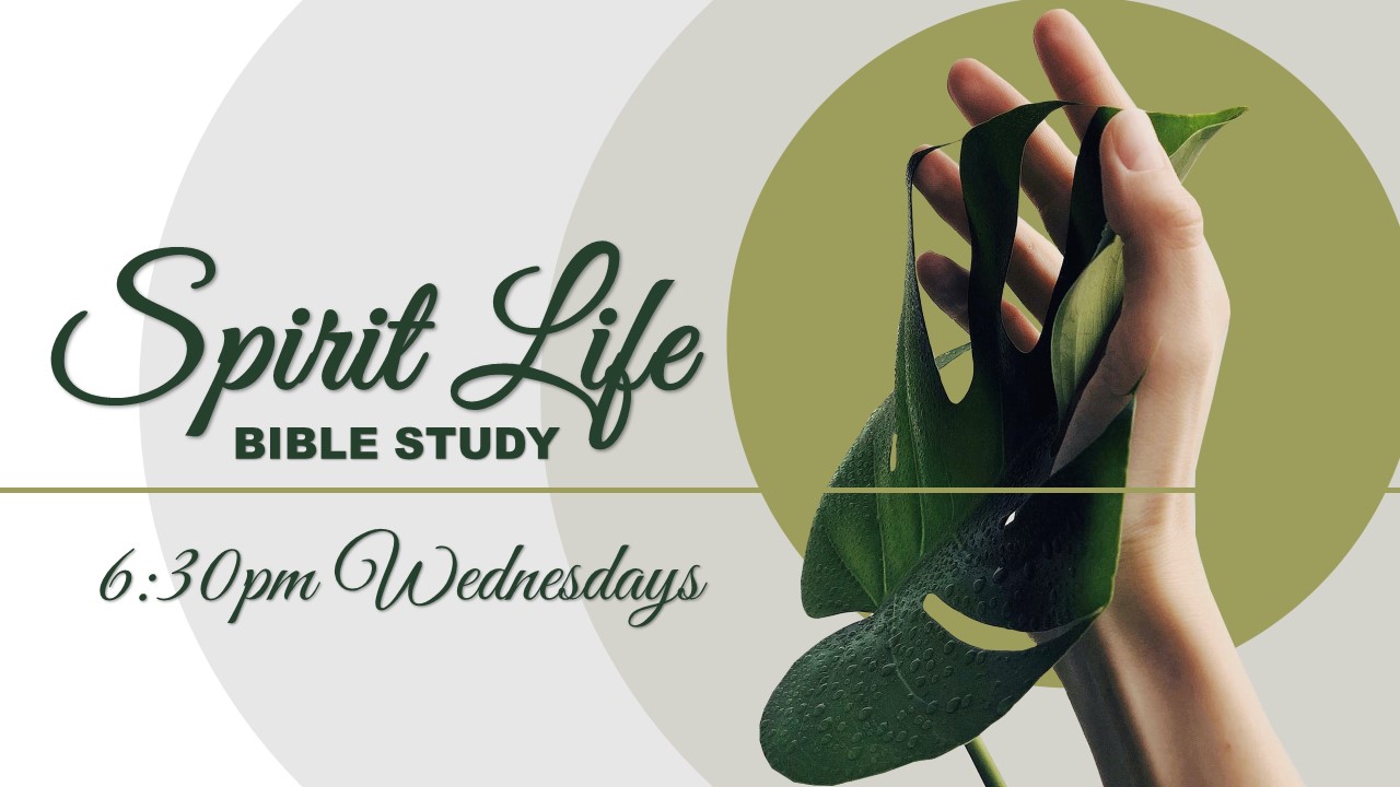 Spirit Life Bible Study @ LifeSpring Church of Brookfield | Waukesha | Wisconsin | United States